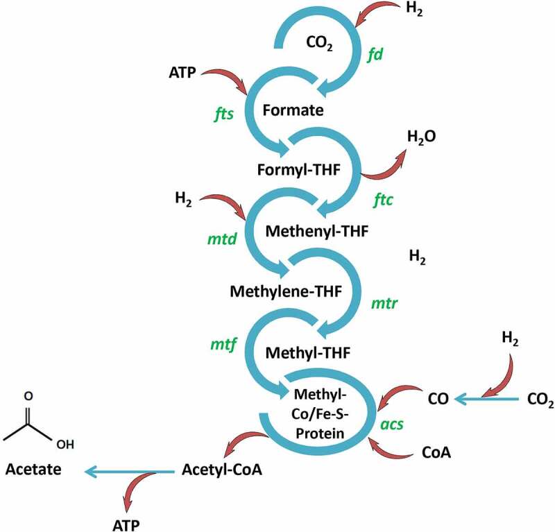 Figure 3.