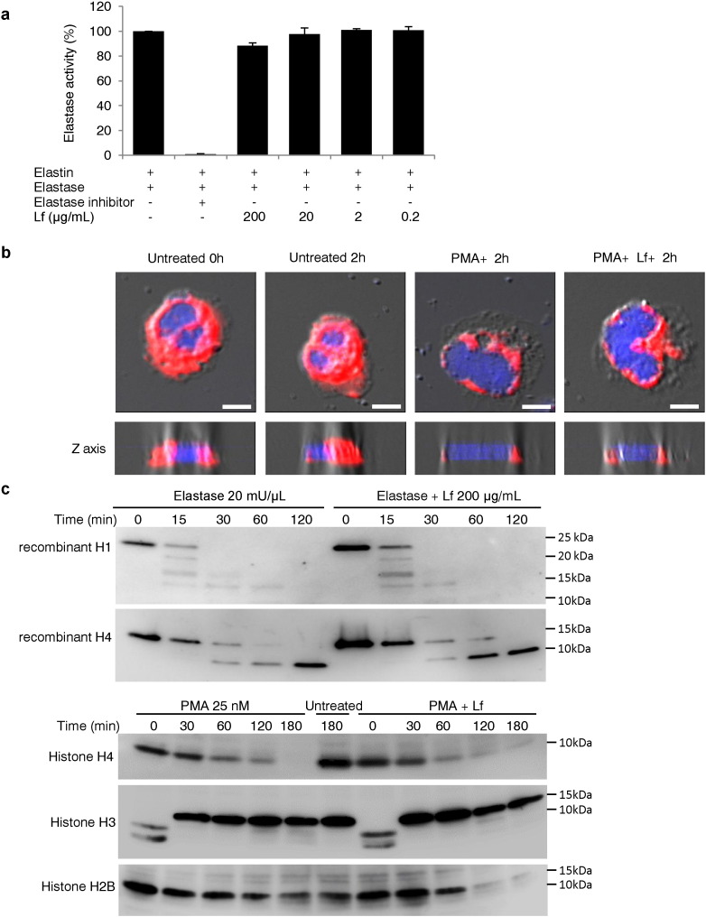 Fig. 6