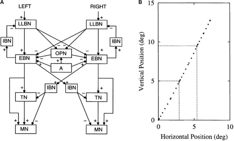 FIGURE 13