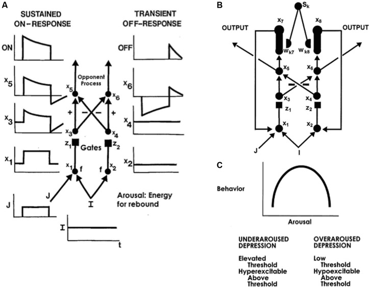 FIGURE 11