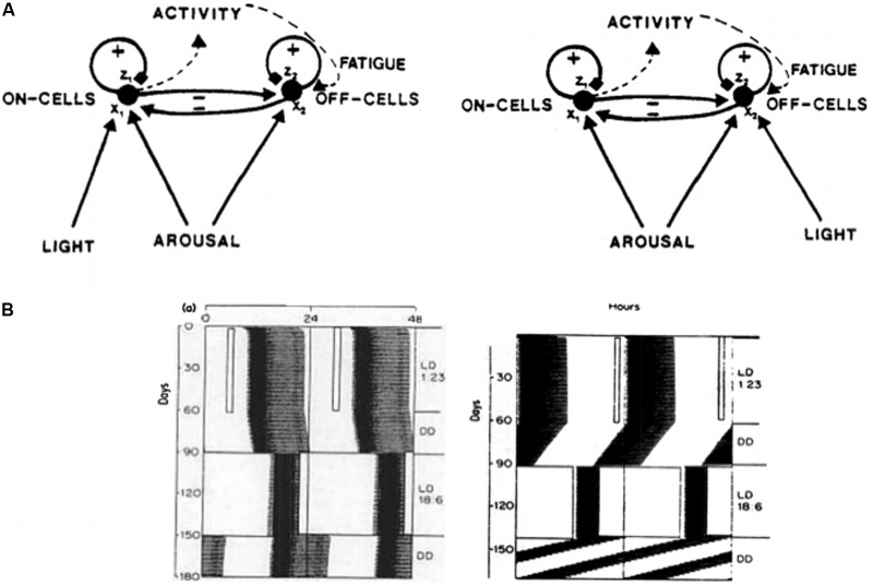 FIGURE 14