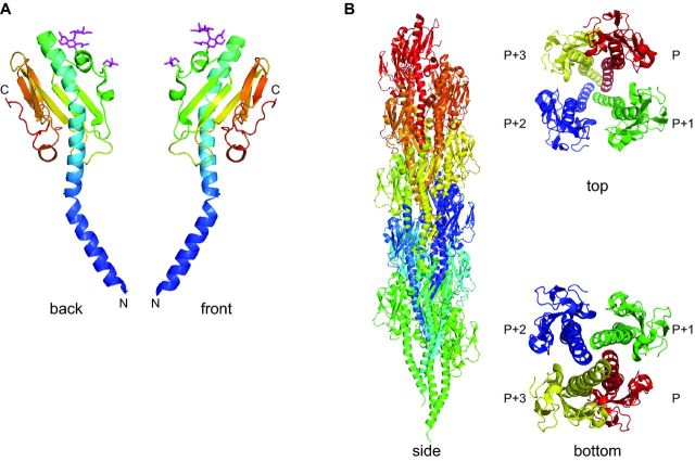 Figure 5: