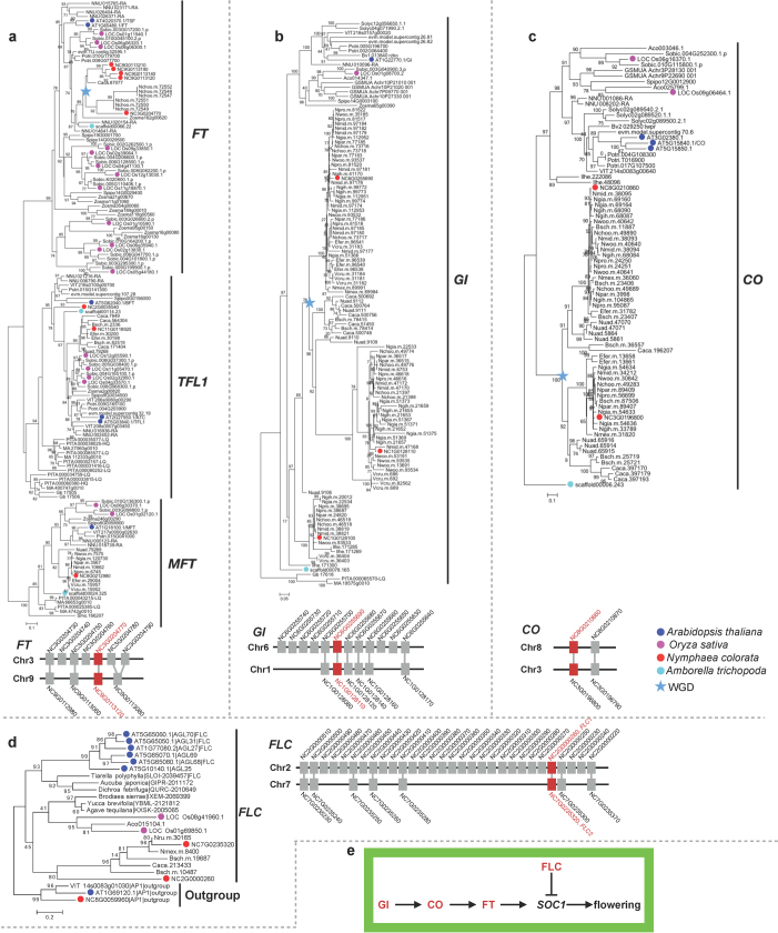 Extended Data Fig. 6