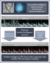 Graphical Abstract