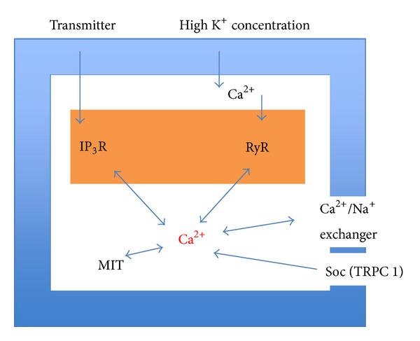 Figure 5