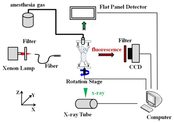 Fig. 2