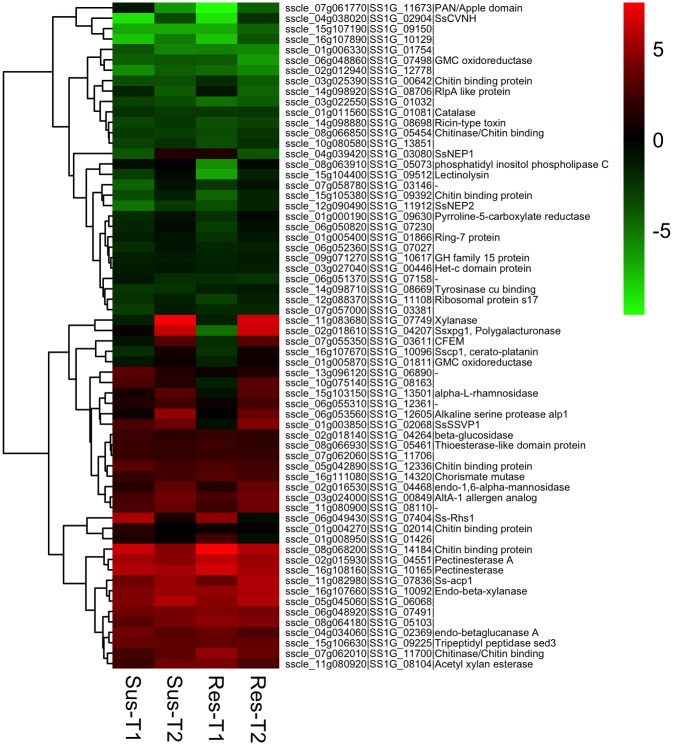 Fig 6