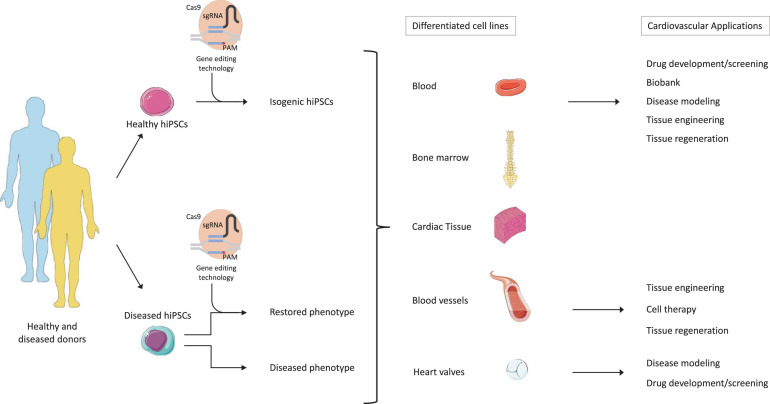 FIGURE 3