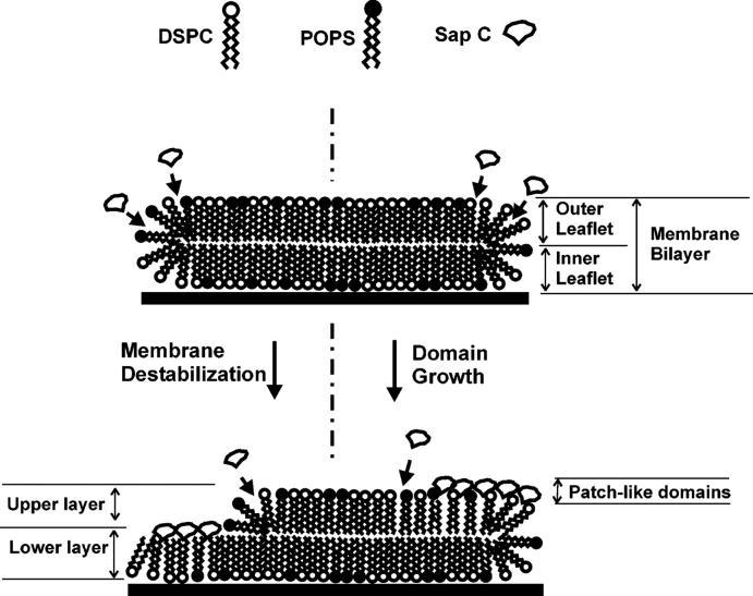 FIGURE 14