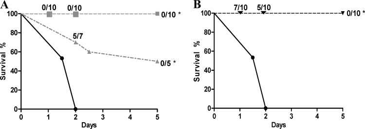 Fig 5