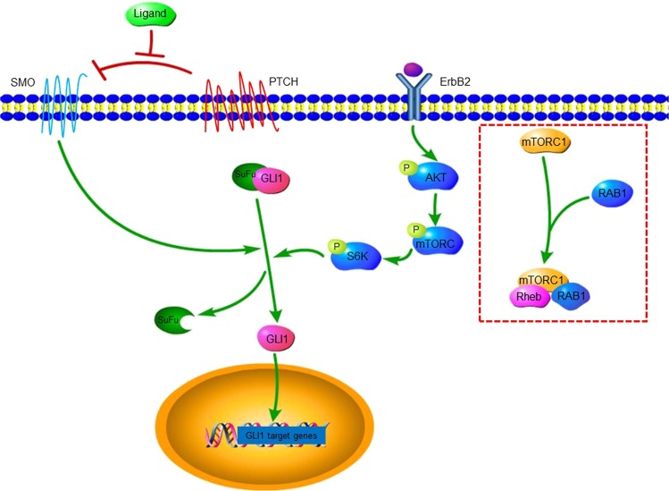 Figure 7