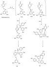 Scheme 2