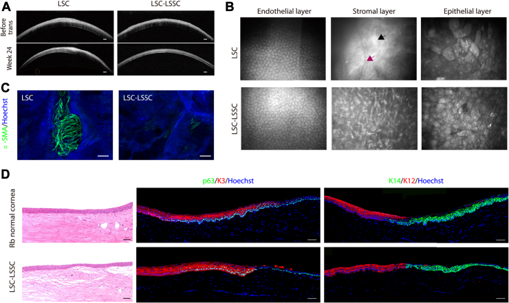 Figure 6