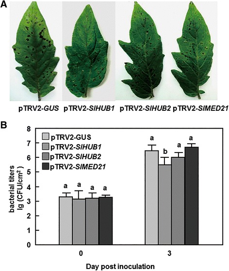 Fig. 5