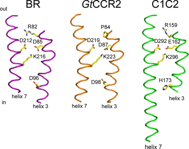 Figure 7