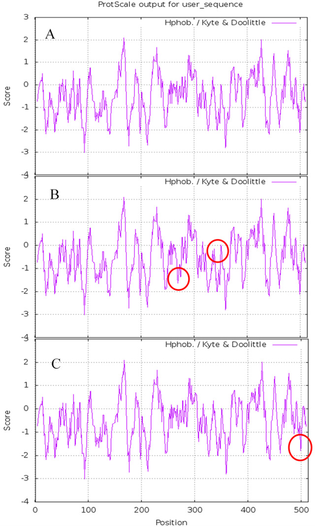 Figure 6