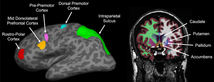 FIGURE 4