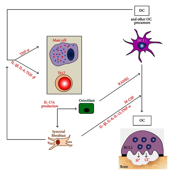 Figure 4