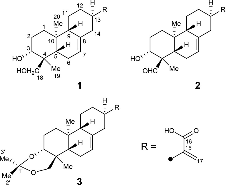 Fig. 1