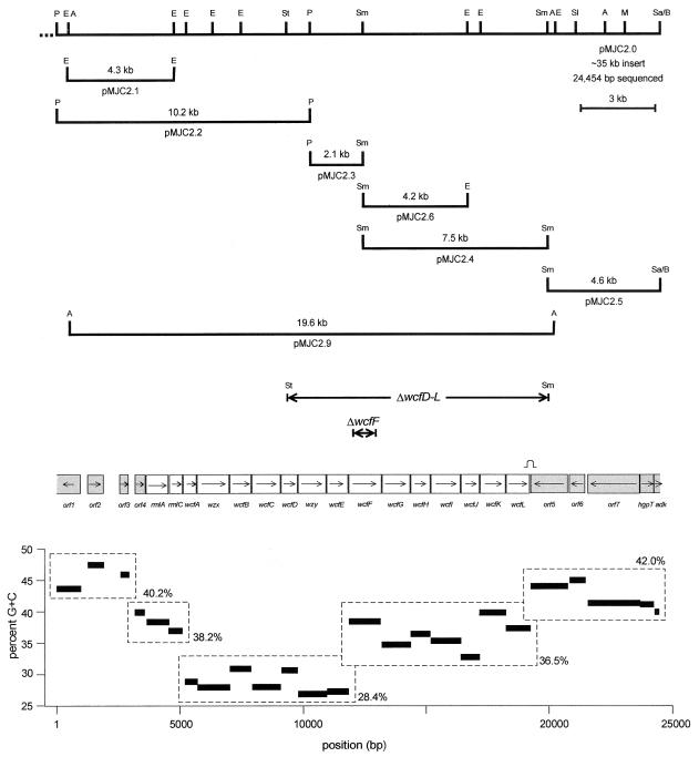 FIG. 1