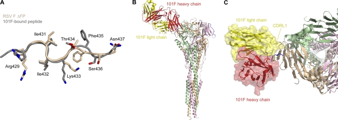 Fig. 4.