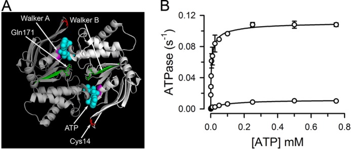 FIGURE 1.