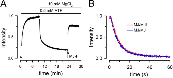 FIGURE 4.