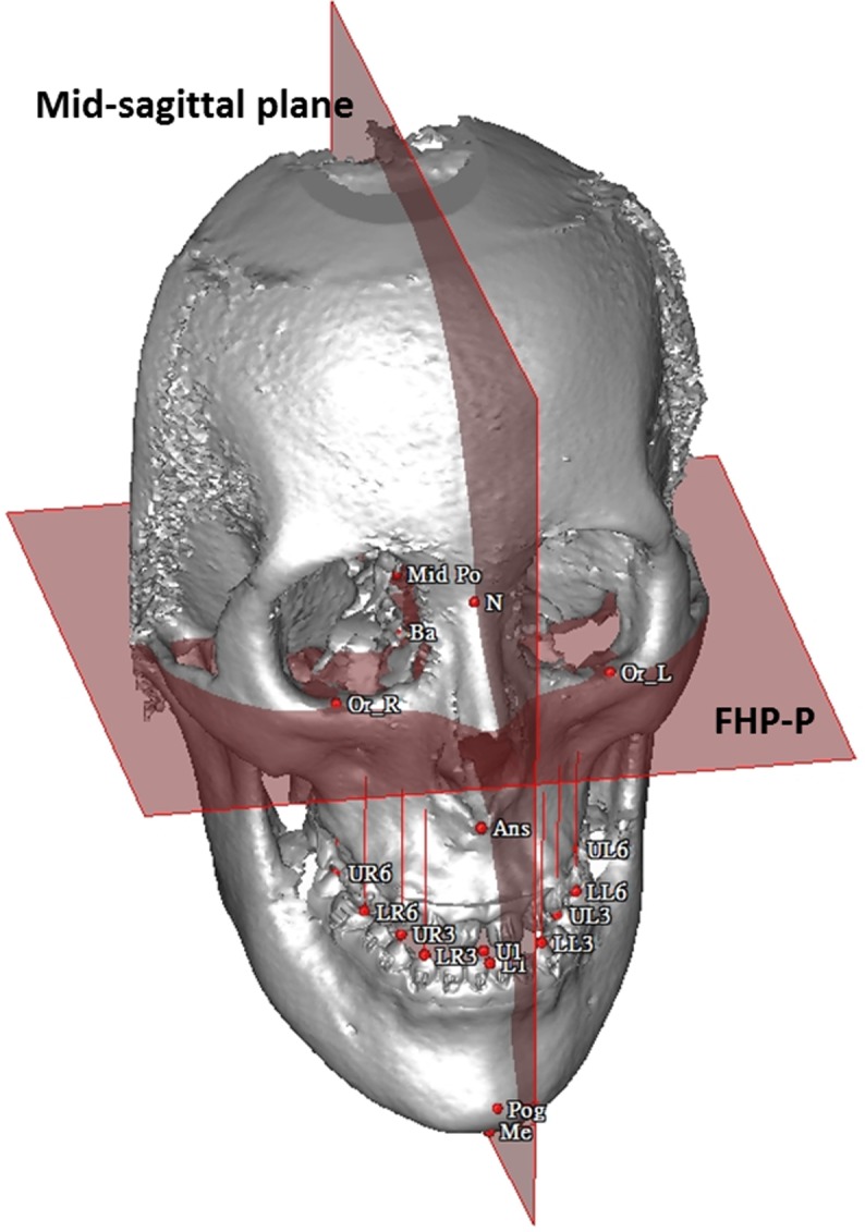 Fig 3