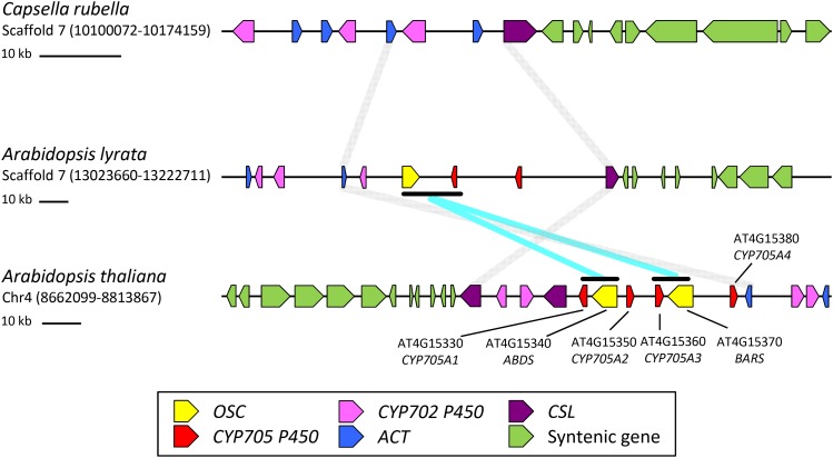 Figure 10.