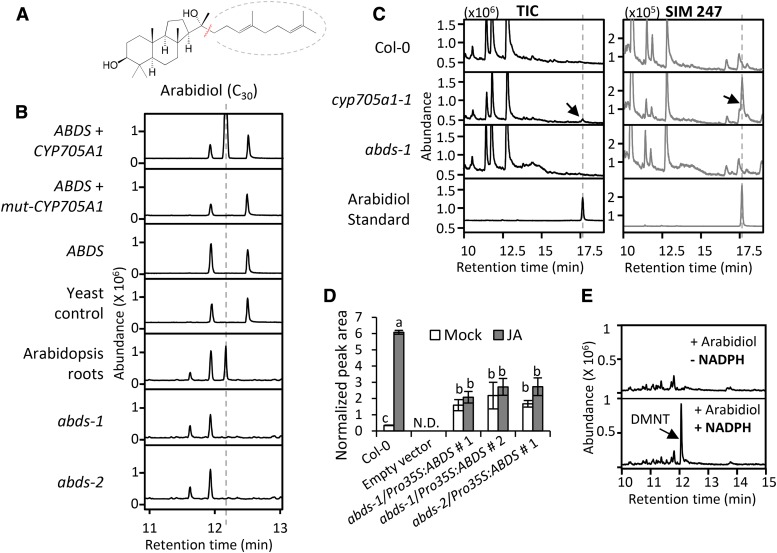 Figure 4.