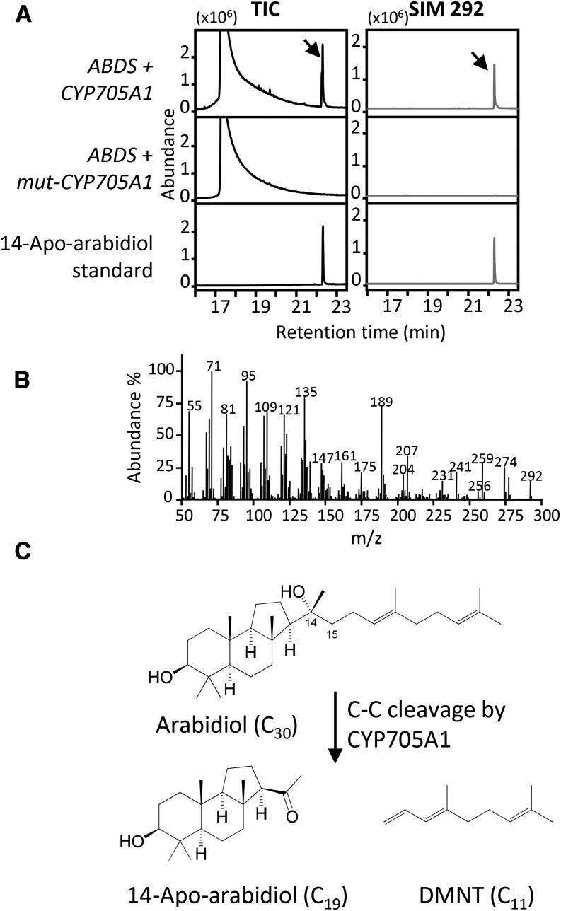 Figure 5.