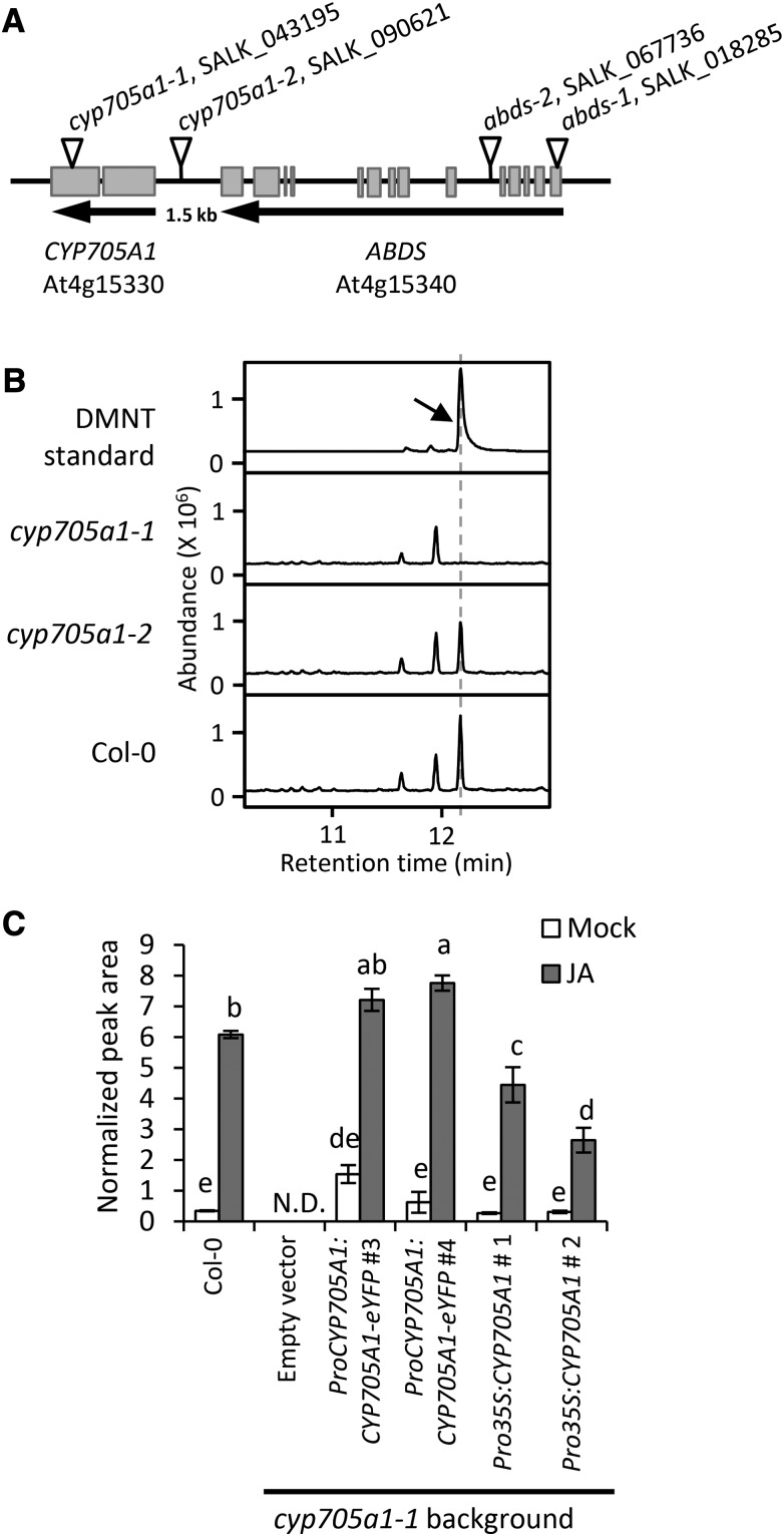 Figure 3.