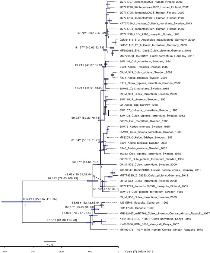 FIG 3