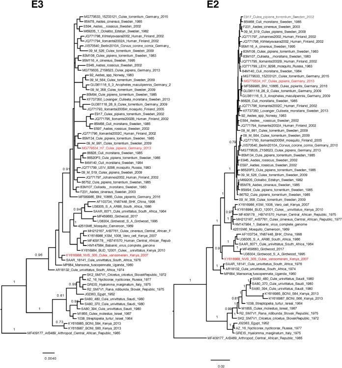 FIG 6