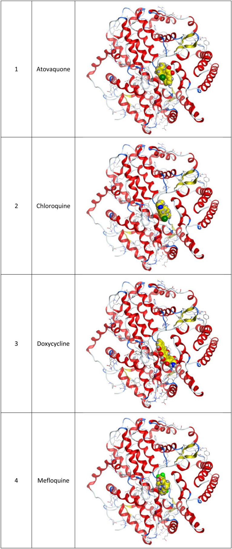 Fig. 3