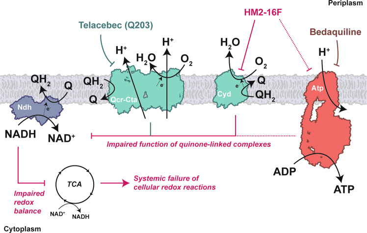 Fig. 7