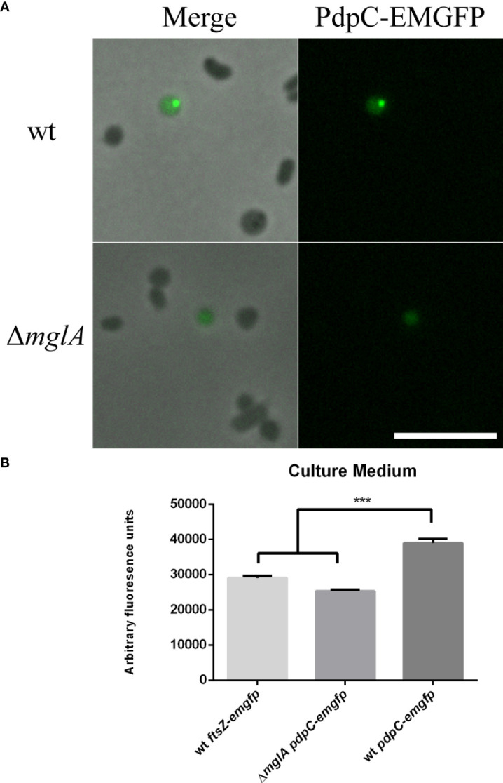 Figure 4