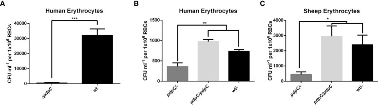 Figure 2