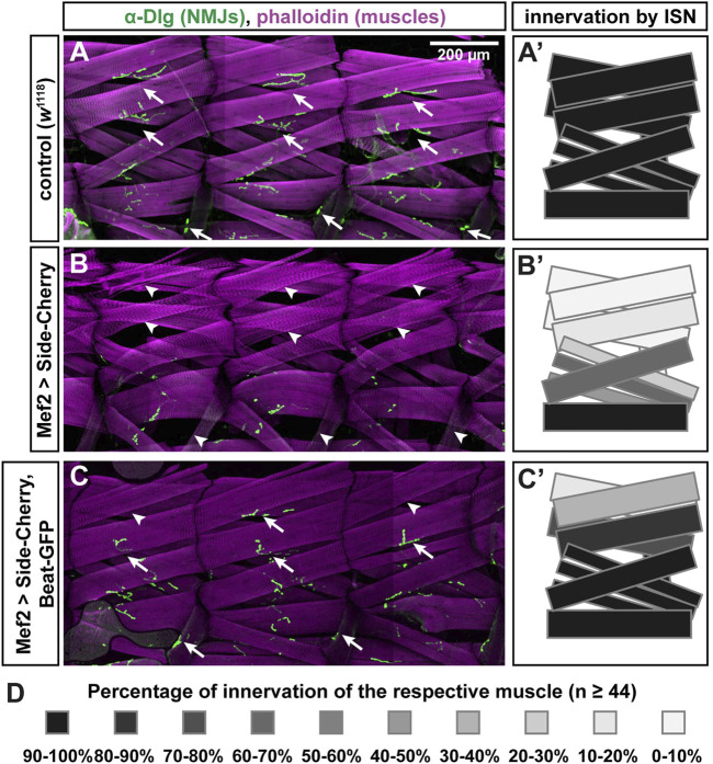 FIGURE 4