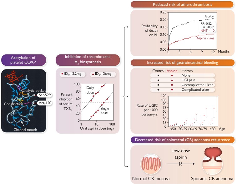 Graphical Abstract