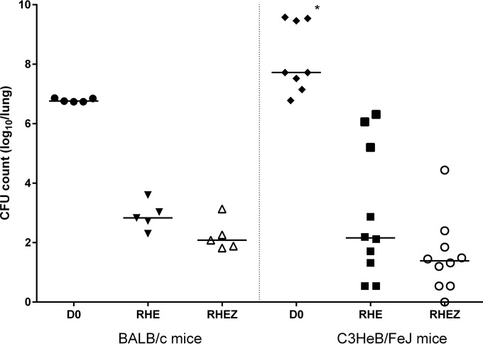 FIG 1