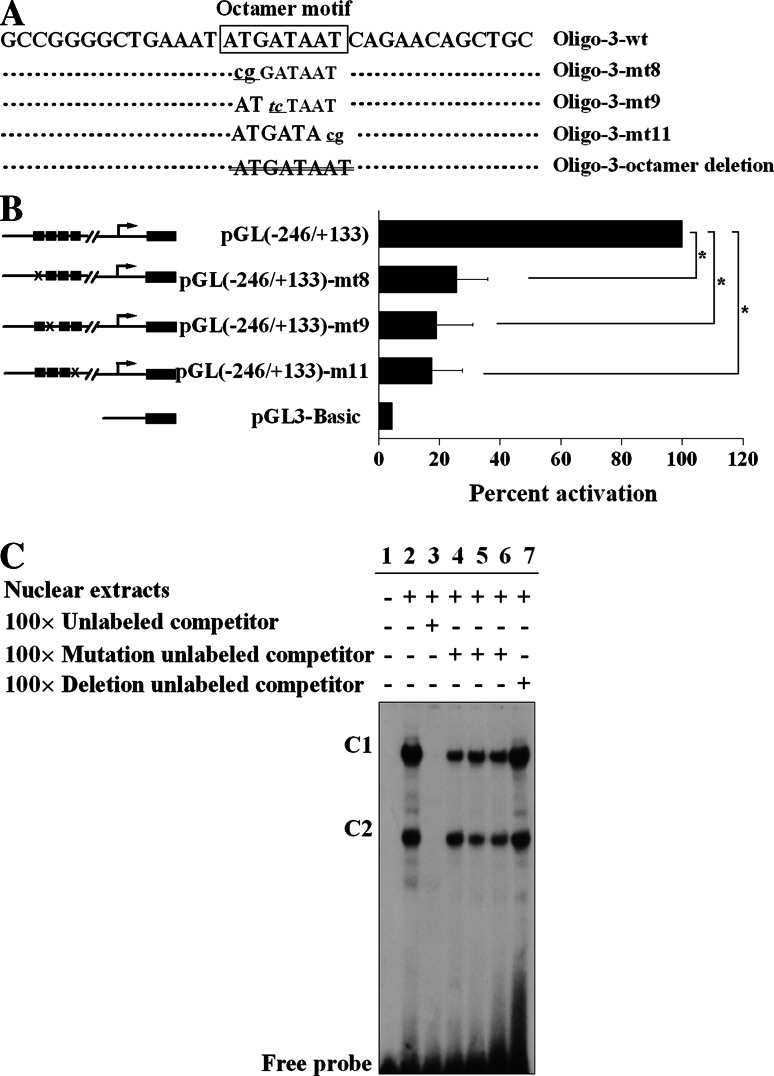 Fig. 4