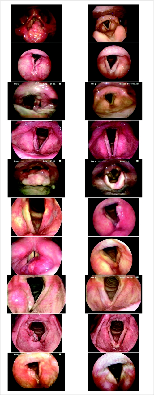 Fig 2.