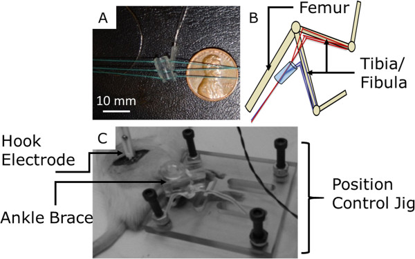 Figure 2