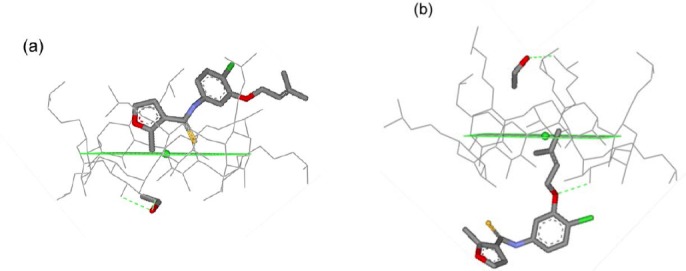 Fig. 5