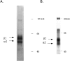 Fig. 9.