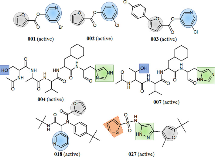 Fig. 2