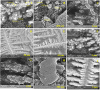 Fig. 10