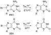 Figure 25