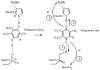 Figure 18
